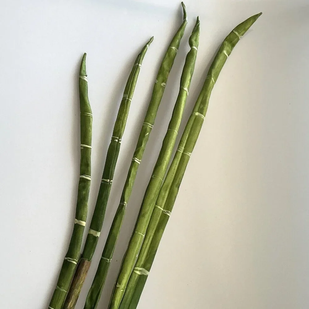 BAMBOO WITH DETACABLE POLES TALL CRAFT DIY BUNDLE ARTIFICAL (FLAWS)